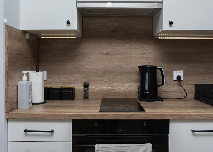 Komfort W Centrum Parking * 브로츠와프